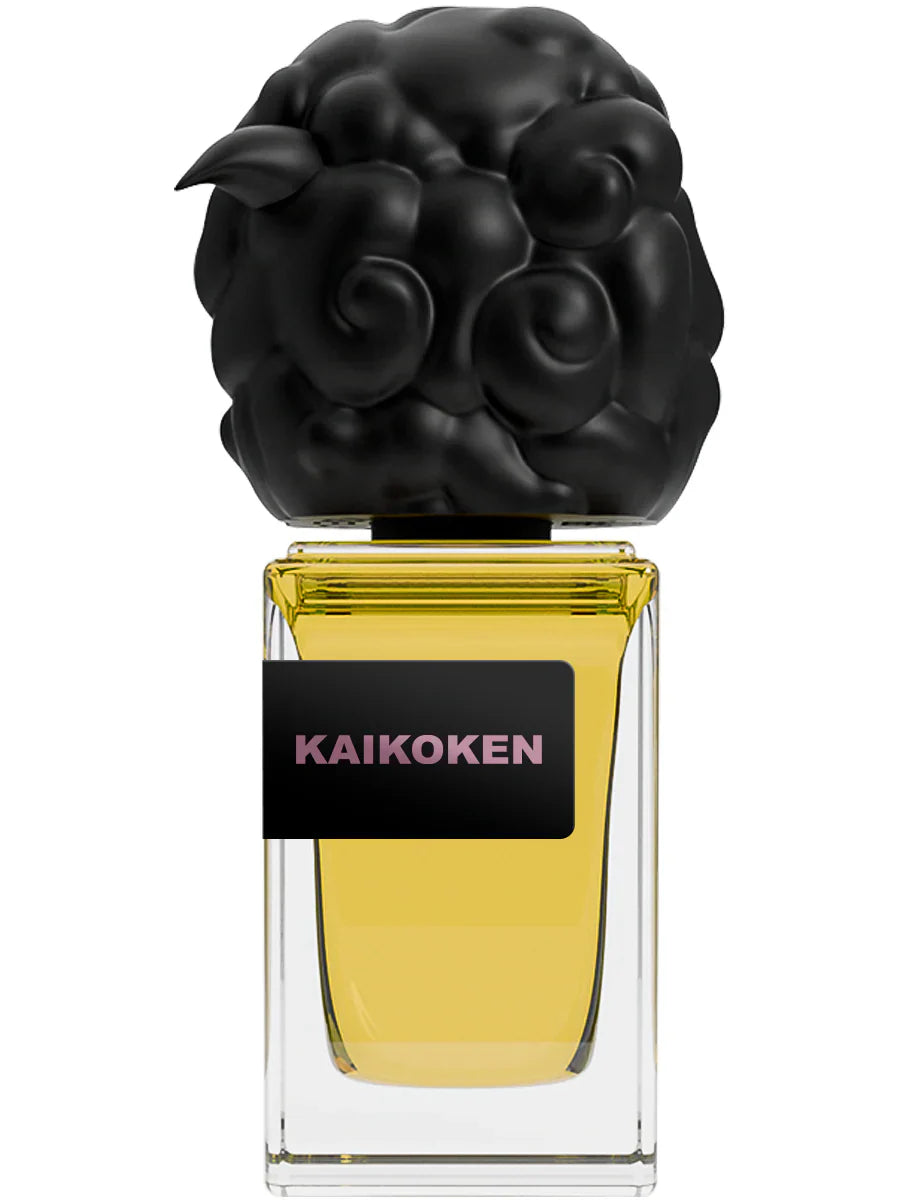 Kaikoken